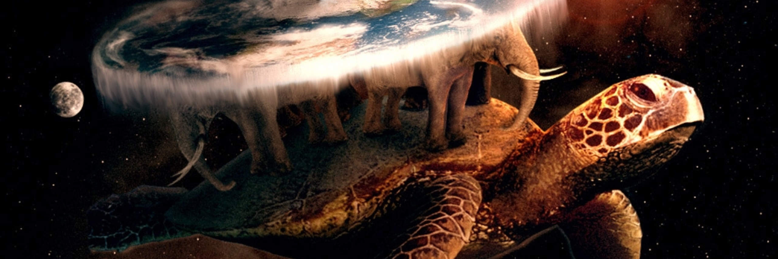 The Discworld, floating through space on a giant turtle. Source: http://www.paperhi.com/Toplist_Best_20816/download_2560x1600