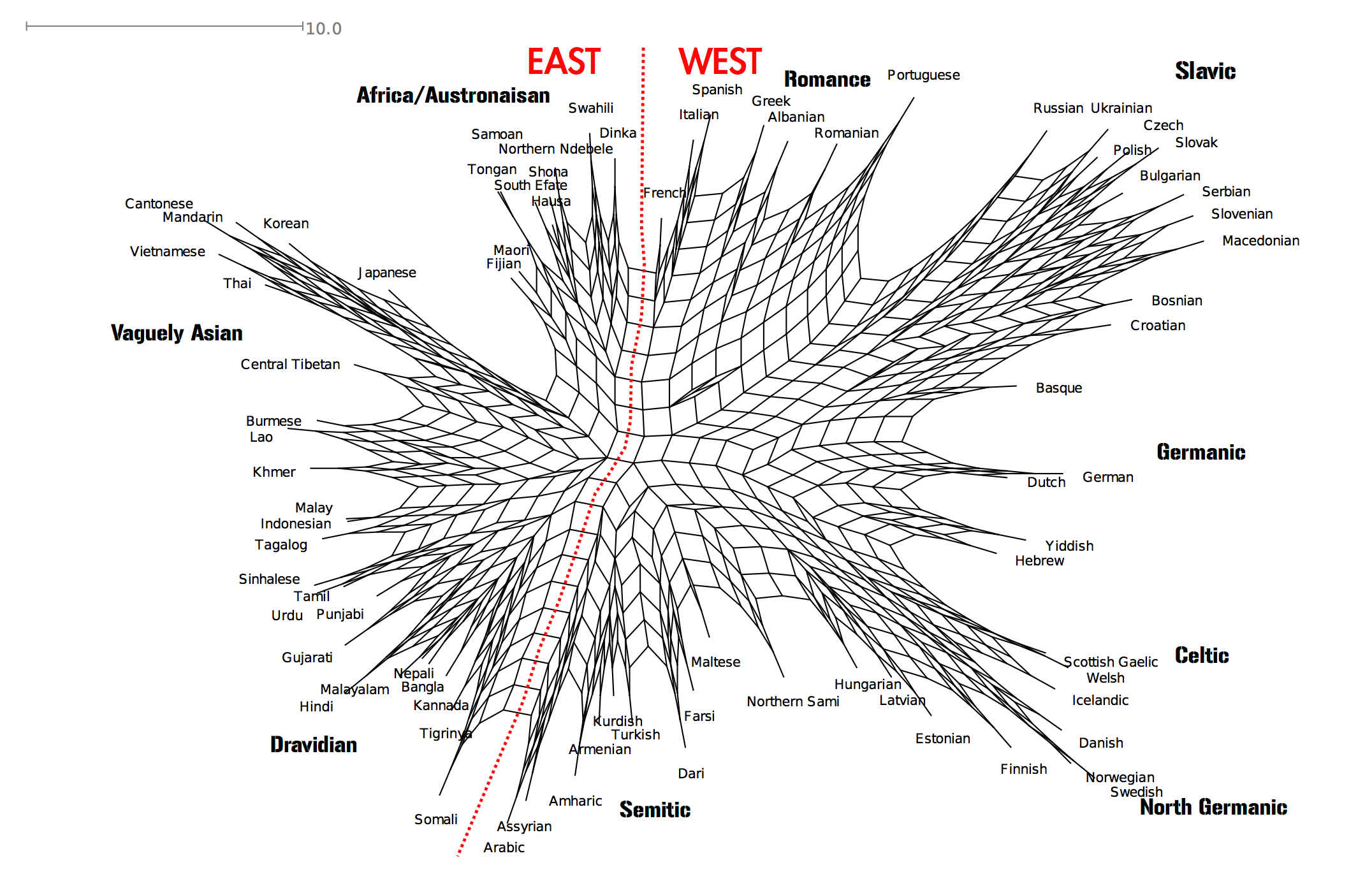 Web showing connections between different languages. 