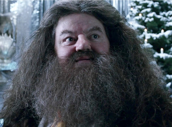 4.    Hagrid, looking his charmingly simple self.