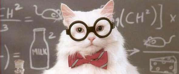 Picture of science cat, complete with glasses, in front of blackboard.