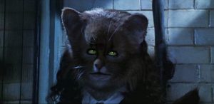 Hermione as a cat in Chamber of Secrets