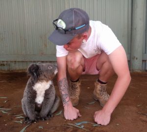 Koala and human looking at each other