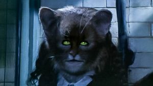 Hermione partially transformed into a cat