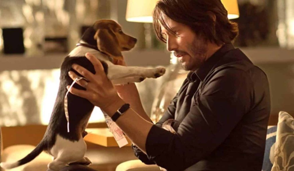 Keanu Reeves as John Wick holds a small dog